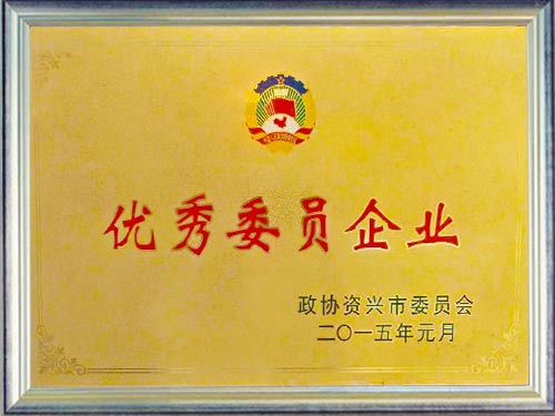 优秀委员企业