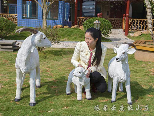 游客自拍图1